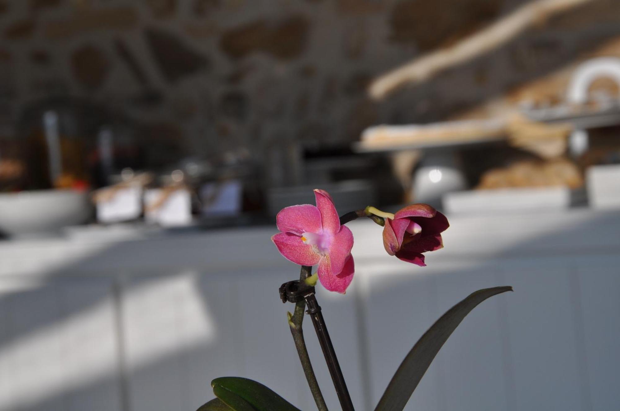 Bed and Breakfast Residenza Amblingh Vasto Esterno foto